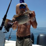 Fish Naples Florida